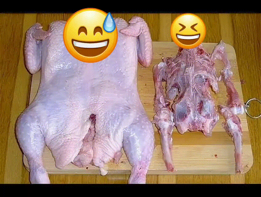 Птица 2